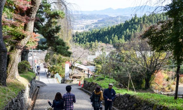 Shrine with a Wonderful View That Let You Feel Mountain Worship