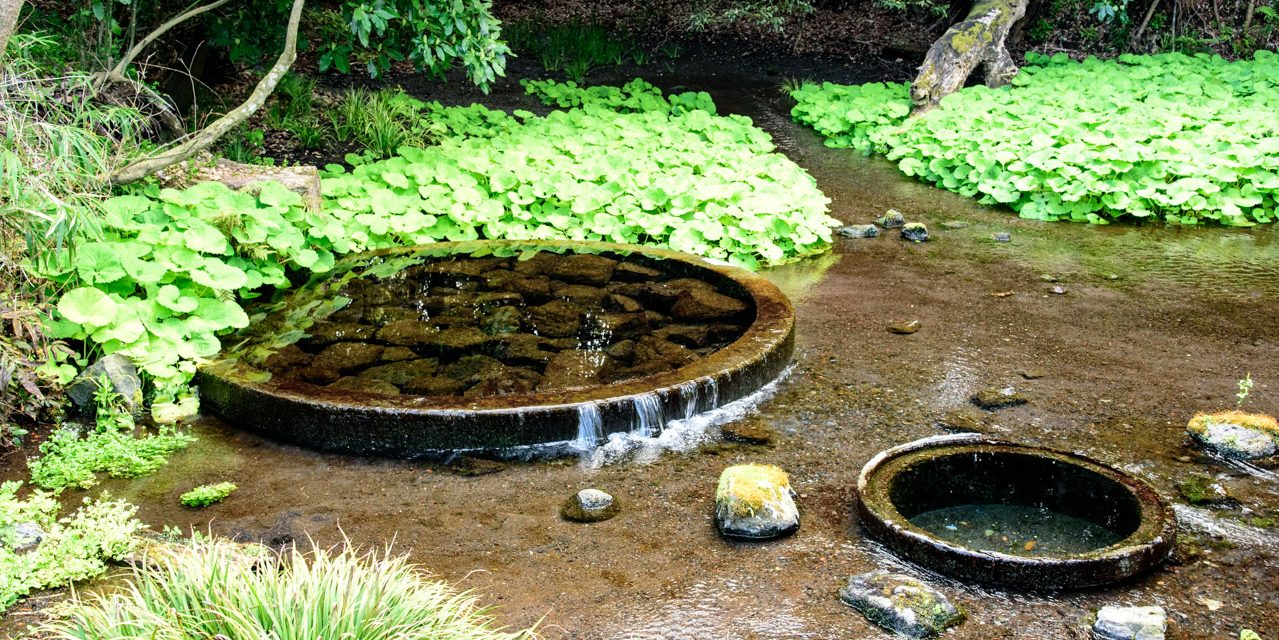 Spring water from Mt. Fuji counted as one of the Japan’s three clear stream