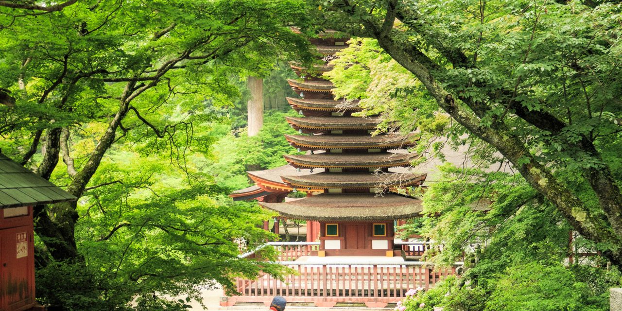Shrine where Japan’s only 13-storied pagoda merges with rich nature