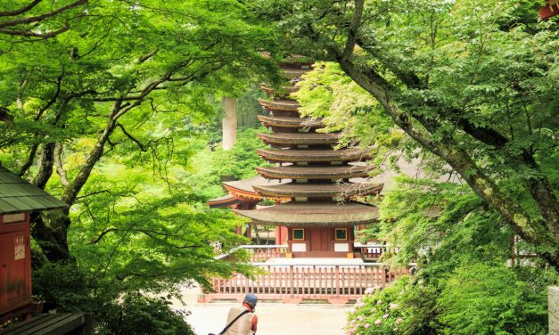 Shrine where Japan’s only 13-storied pagoda merges with rich nature