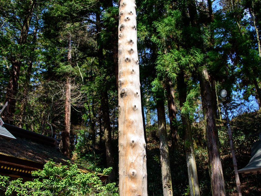 The Wife of the Brawny Deity from Kuni Yuzuri Myth is Enshrined
