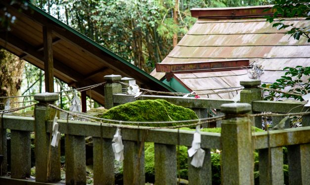 The Stage of the Death and Resuscitation of Okuninushi Myth