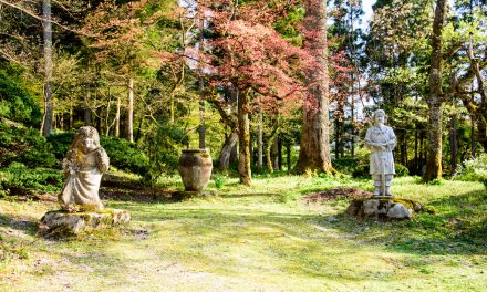 Hometown of Kushinadahime from Yamata No Orochi Myth