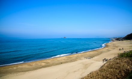 The Mythical Beach of the White Rabbit of Inaba