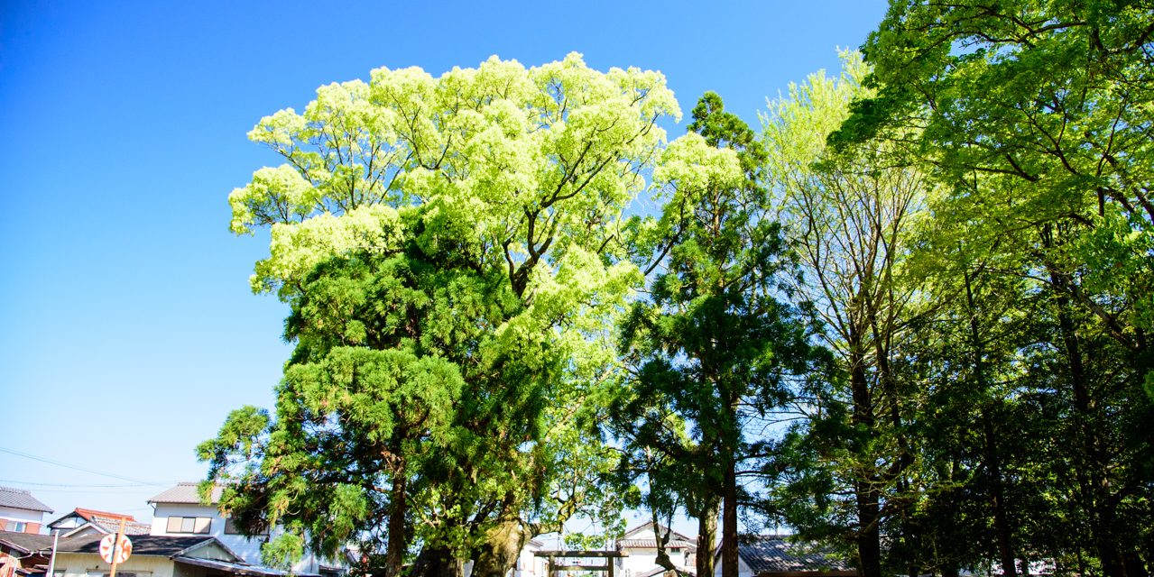 The First Emperor’s Temporary Palace Site on the First Arrival at Kumano
