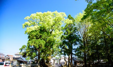 The First Emperor’s Temporary Palace Site on the First Arrival at Kumano