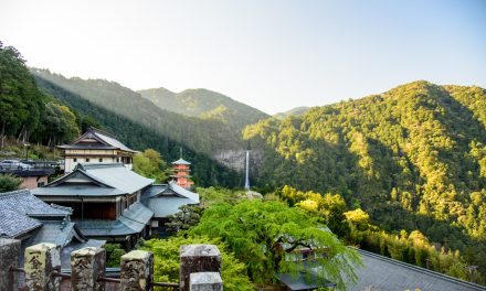 The Fusion of Shintoism and Buddhism