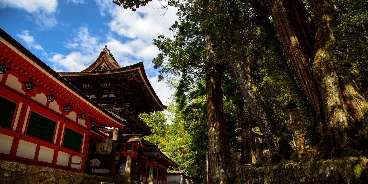 The Sword of Futsumitama from the Guidance of Yatagarasu Myth Is Deified in This Shrine