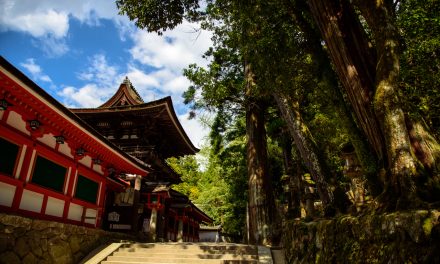The Sword of Futsumitama from the Guidance of Yatagarasu Myth Is Deified in This Shrine