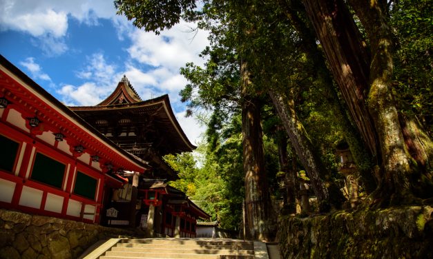 The Sword of Futsumitama from the Guidance of Yatagarasu Myth Is Deified in This Shrine