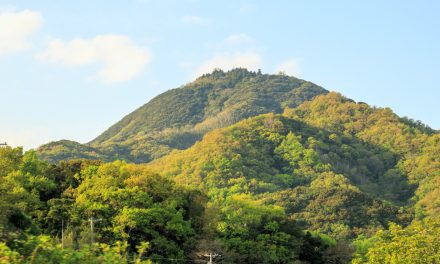 The Second Island the Deities Created in Kuni Umi Myth