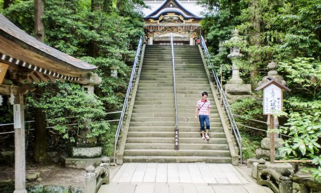 Shrine Situated in a Mountain Where Yamato Takeru Was Helped by White Dogs and Black Dogs