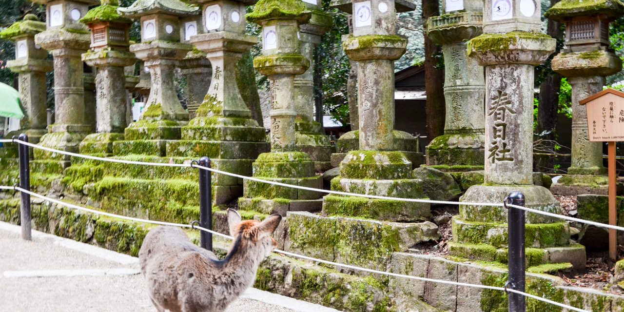 Shrine Situated at the Foot of Mt. Mikasa Where Virgin Nature Still Remains