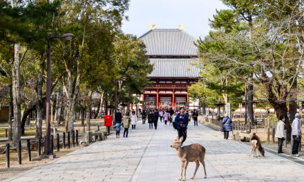 Todai Ji