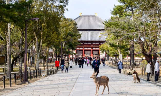 Todai Ji