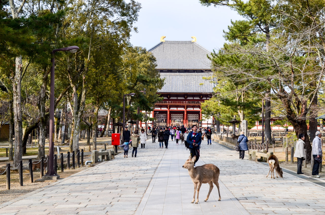 Todai Ji Todai Ji